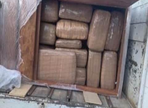 ASEGURAN CASI UNA TONELADA DE "MOTA" ASEGURAN CASI UNA TONELADA DE "MOTA"
