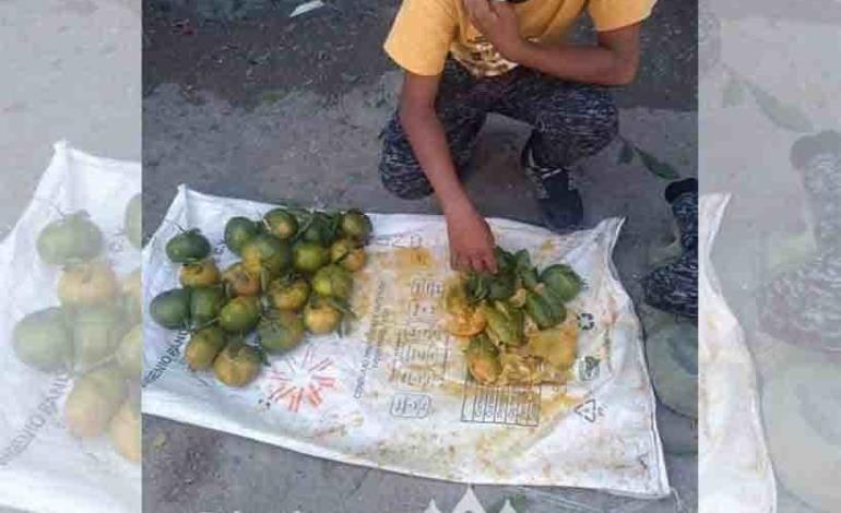 Conductor se lleva puesto de fruta