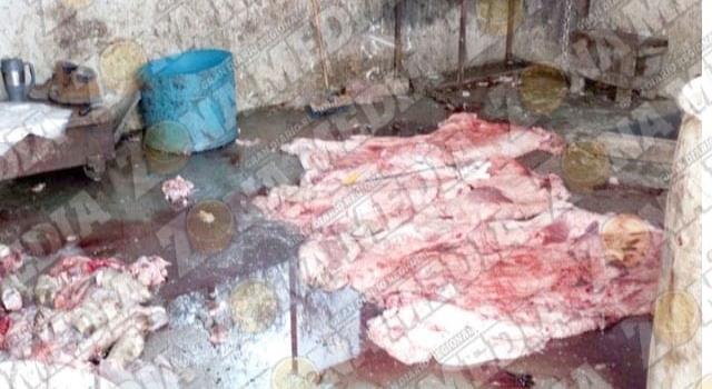 Venden carne contaminada Venden carne contaminada