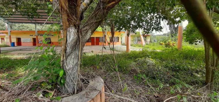 ABANDONAN ESCUELAS ABANDONAN ESCUELAS
