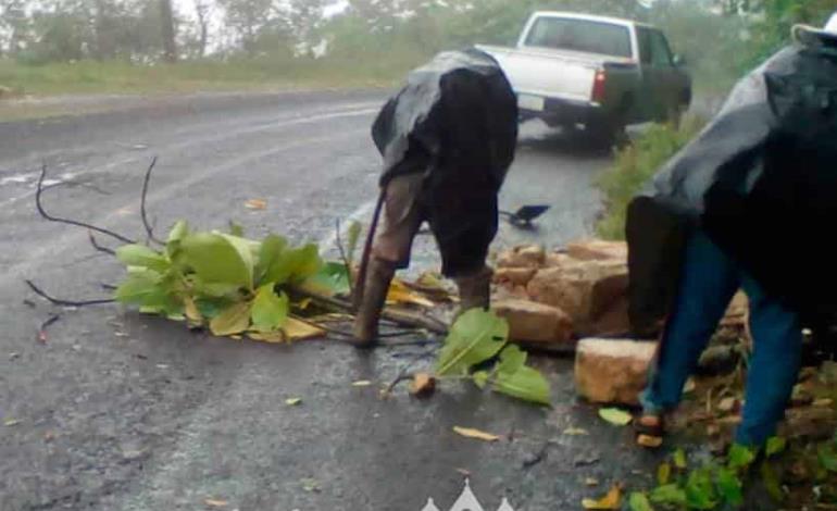 Lluvias generan problemas viales