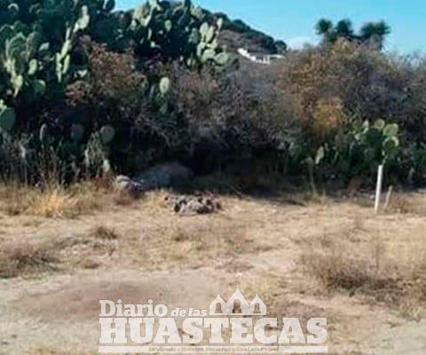 Localizaron cuerpo de mujer en monte