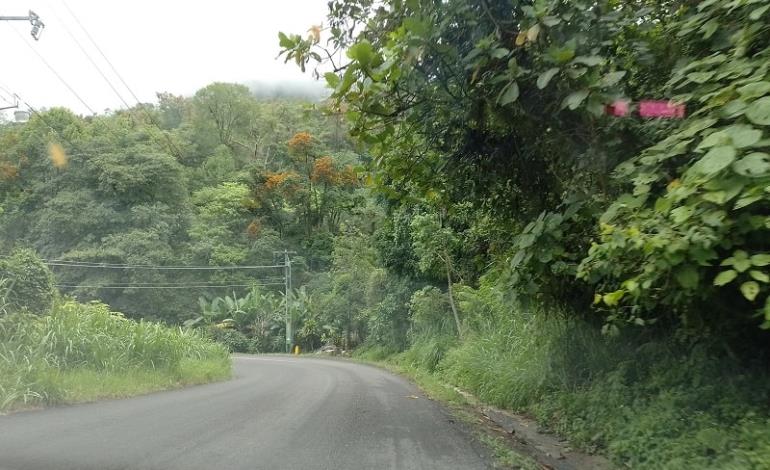 Repara rúa Xilitla - San Juan del Río