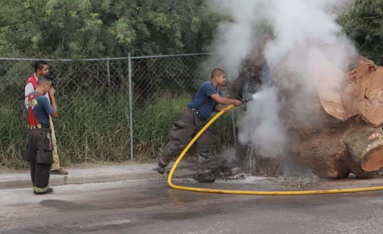 Le prendieron  fuego a tronco