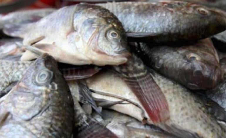 Alertan a la población por compra de pescados y mariscos