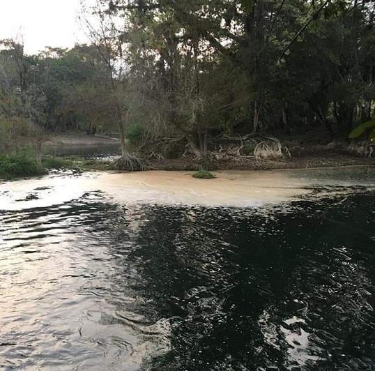 Ecocidio causó el ingenio