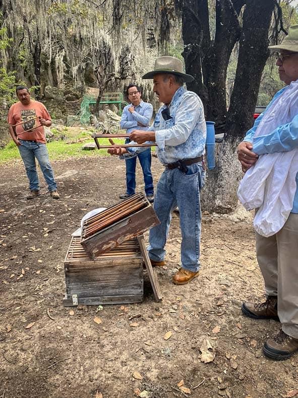 Fomenta Semarnath la práctica de apicultura responsable en El Campanario