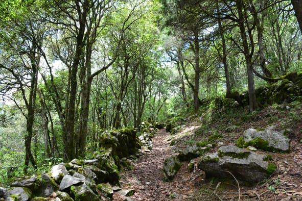 Ofrece Semarnath abanico de actividades ambientales