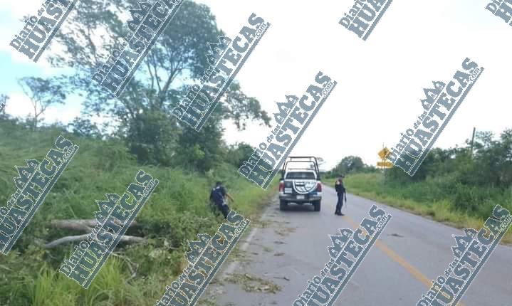 Tormenta los dejó sin electricidad 
