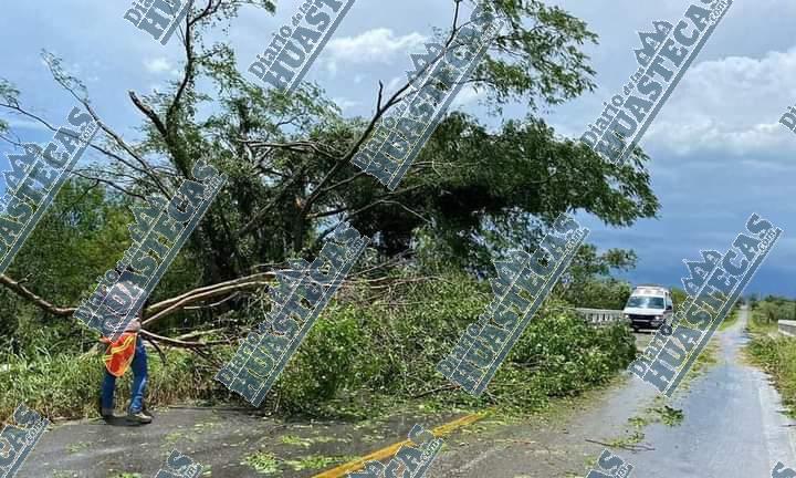 Tormenta los dejó sin electricidad 