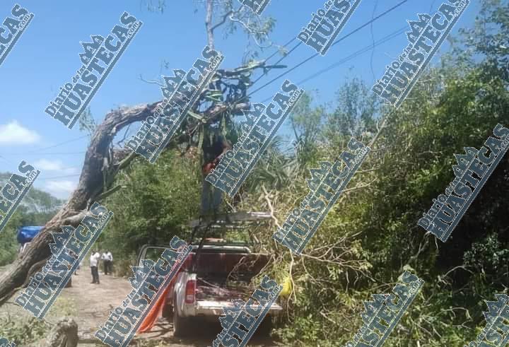 Tormenta los dejó sin electricidad 