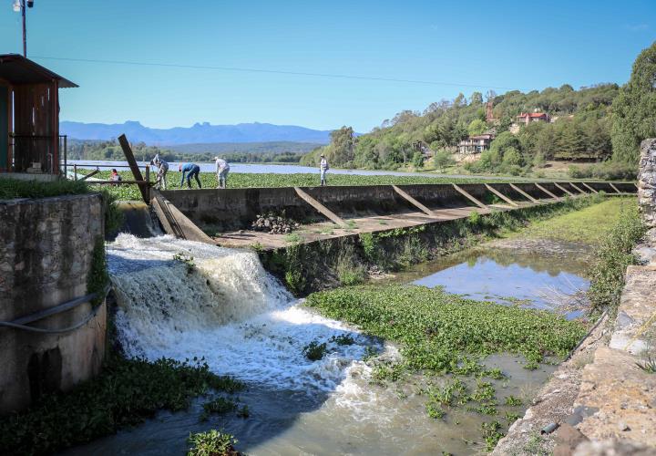 Semarnath retira maleza acuática de la presa de San Antonio Regla
