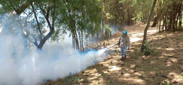 Huasteca zona de alarma por dengue