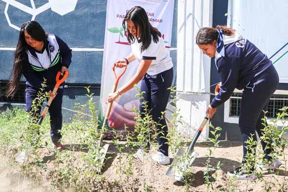 Inicia Semarnath entrega de plantas forestales a centros educativos