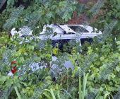 En la Alazán - Canoas camioneta cayó desde un puente 