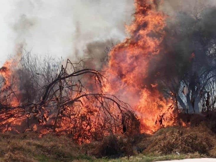 Incendio consumió pastizal y basura