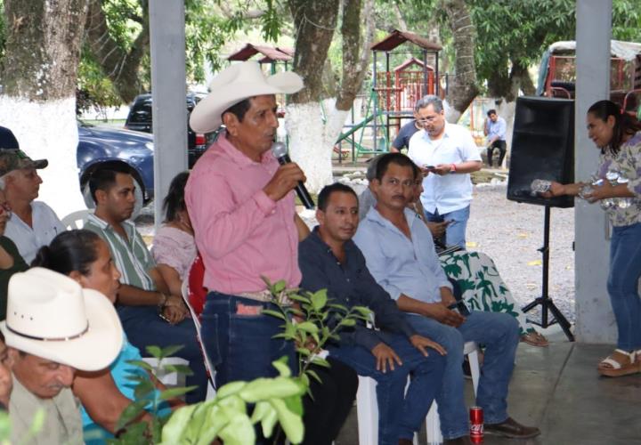 Entregaron plantas de limón a productores en Orizatlán