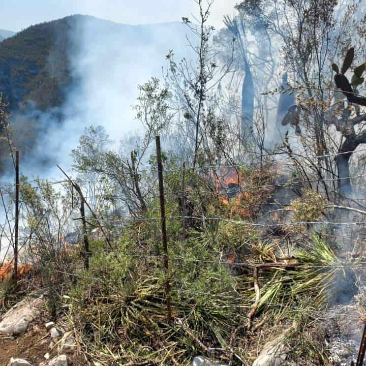 380.07 Has. afectadas  por incendios forestales