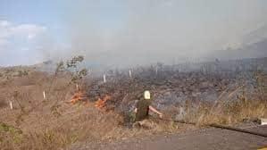 Sofocaron  otro  Incendio de pastizal