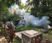 Aumentaron a 53 casos de dengue