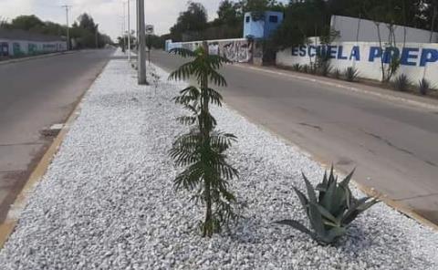 Piden cuidar camellón del bulevar Bicentenario