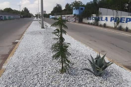 Piden cuidar camellón del bulevar Bicentenario