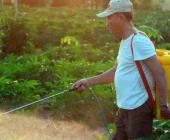 Herbicidas ponen en riesgo la vida