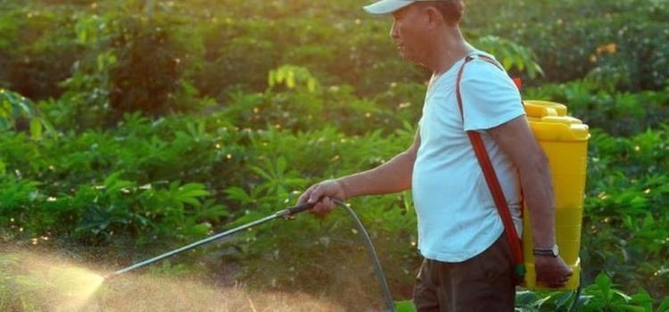 Herbicidas ponen en riesgo la vida
