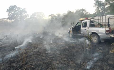 Ardió pastizal en Tamuín: tres hectáreas consumidas