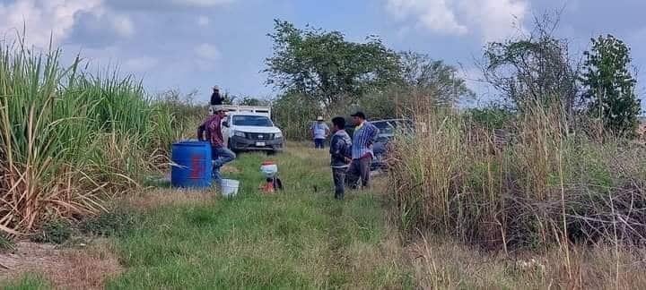 En quiebra Comité de Sanidad