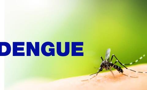 El dengue comienza a causar estragos; surgen casos

