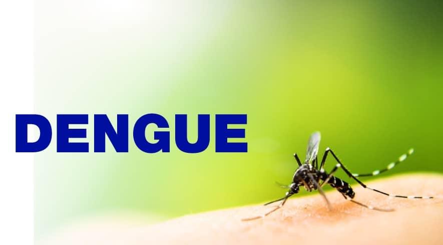 El dengue comienza a causar estragos; surgen casos