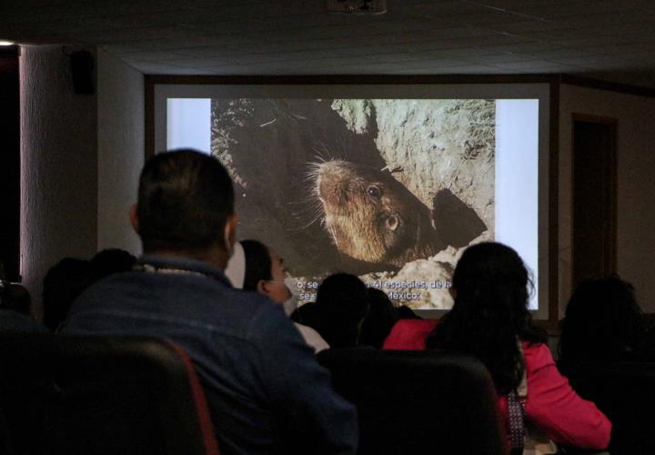 Hidalgo se posiciona como líder en la conservación de la tuza