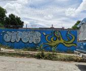 Graffitear se castiga con 3 años de prisión