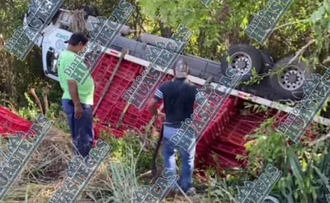 En Tantoyuca...volcó camión que transportaba pollos 
