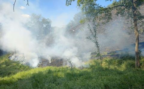 Fuego consumió 15 hectáreas en Tamazunchale 
