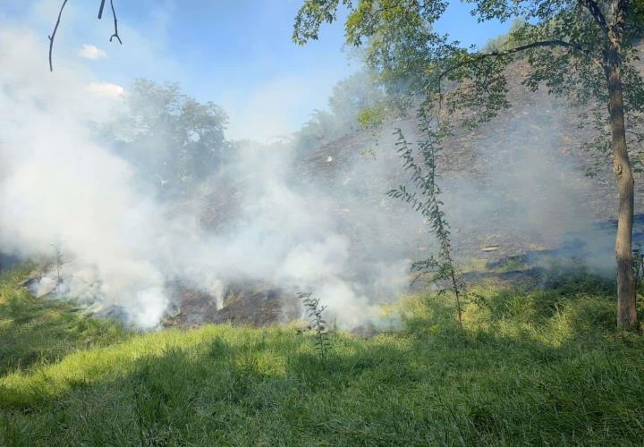 Fuego consumió 15 hectáreas en Tamazunchale 