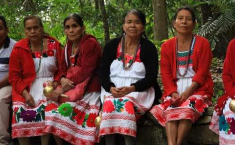 Rituales danzas, y talleres en Día de los Pueblos Indígenas 
