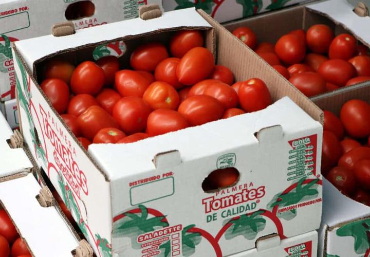 Subió precio del tomate y cebolla