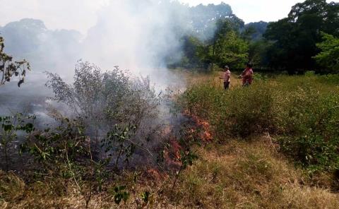 Incendio consumió cinco hectáreas en Ixtlapalaco  
