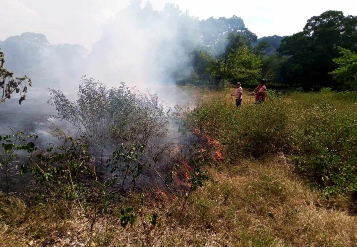 Incendio consumió cinco hectáreas en Ixtlapalaco  