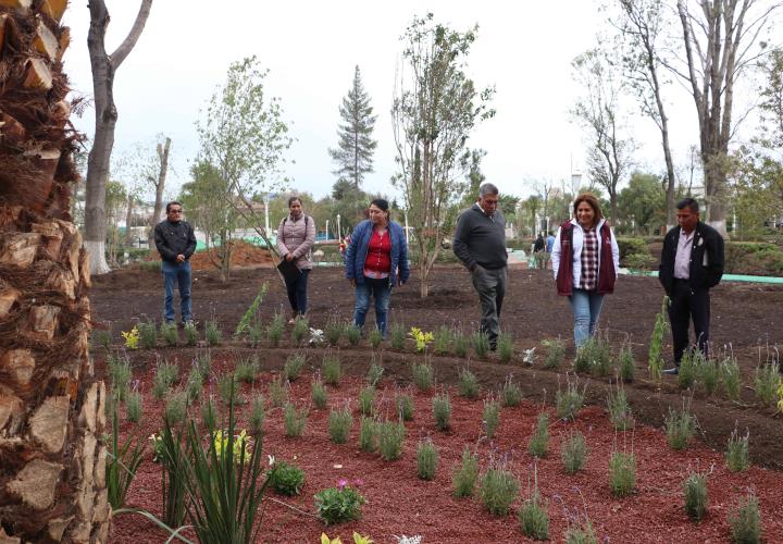 Reforestación del jardín aledaño a Plaza Juárez, favorecerá la presencia de aves e insectos polinizadores