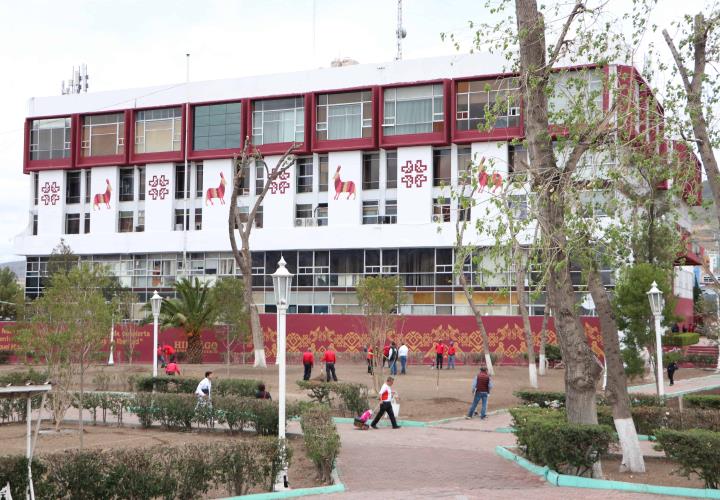 Reforestación del jardín aledaño a Plaza Juárez, favorecerá la presencia de aves e insectos polinizadores