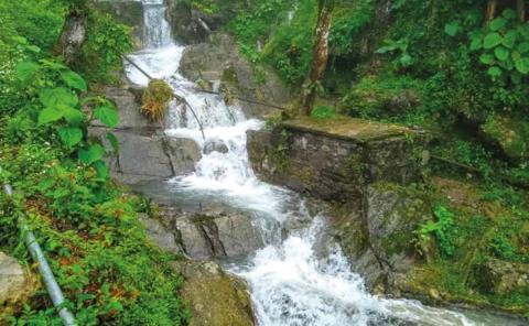 Preparan reforestación como medida ambiental

