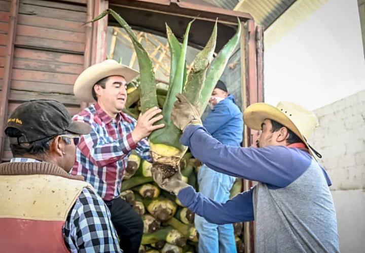 Entrega de semilla certificada y árboles frutales en el Valle del Mezquital