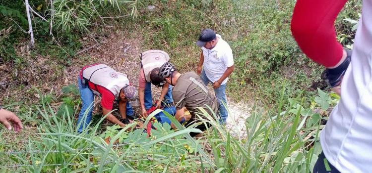 Ciclista cayó de un puente