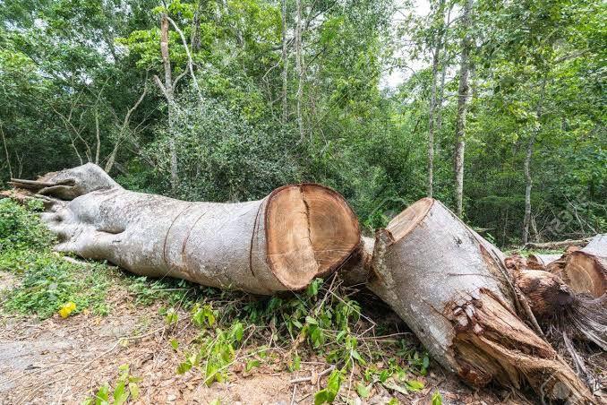 Acusan de inconsciente a delegado de Huachichila 