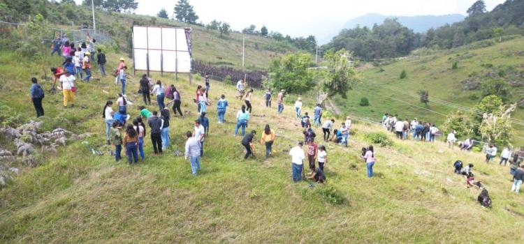 Ecología y UBBJ realizaron campaña de reforestación 