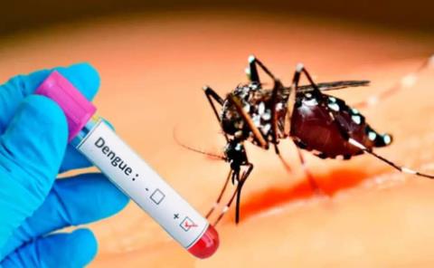 Reporta Pisaflores exceso de dengue 
