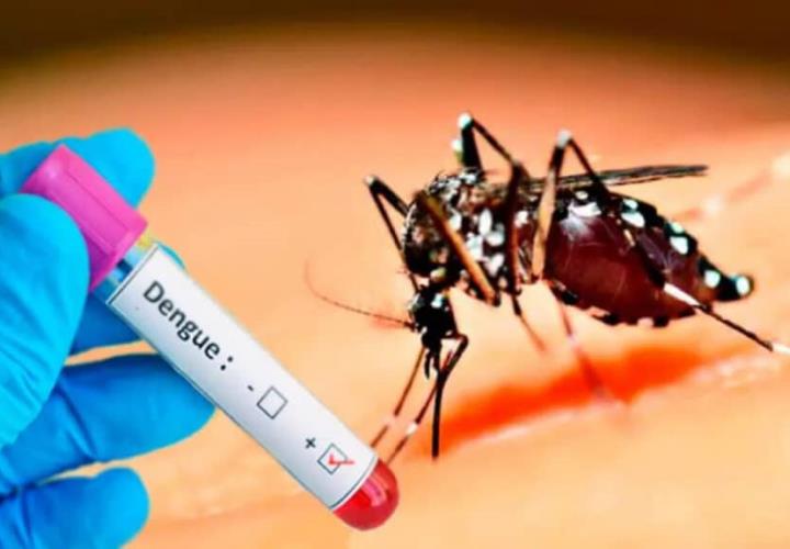 Reporta Pisaflores exceso de dengue 